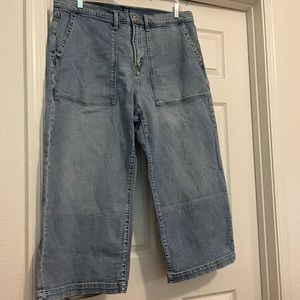 Gap High Ride Wide Leg Jeans Sz 20